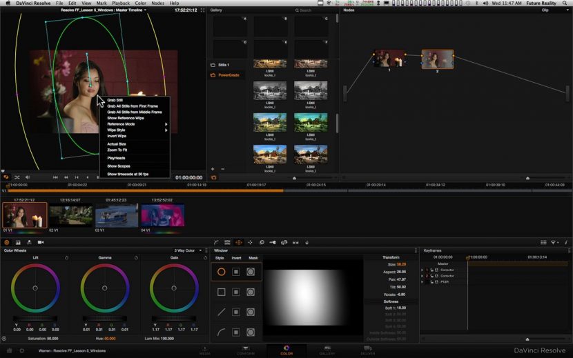 does free davinci resolve support raw