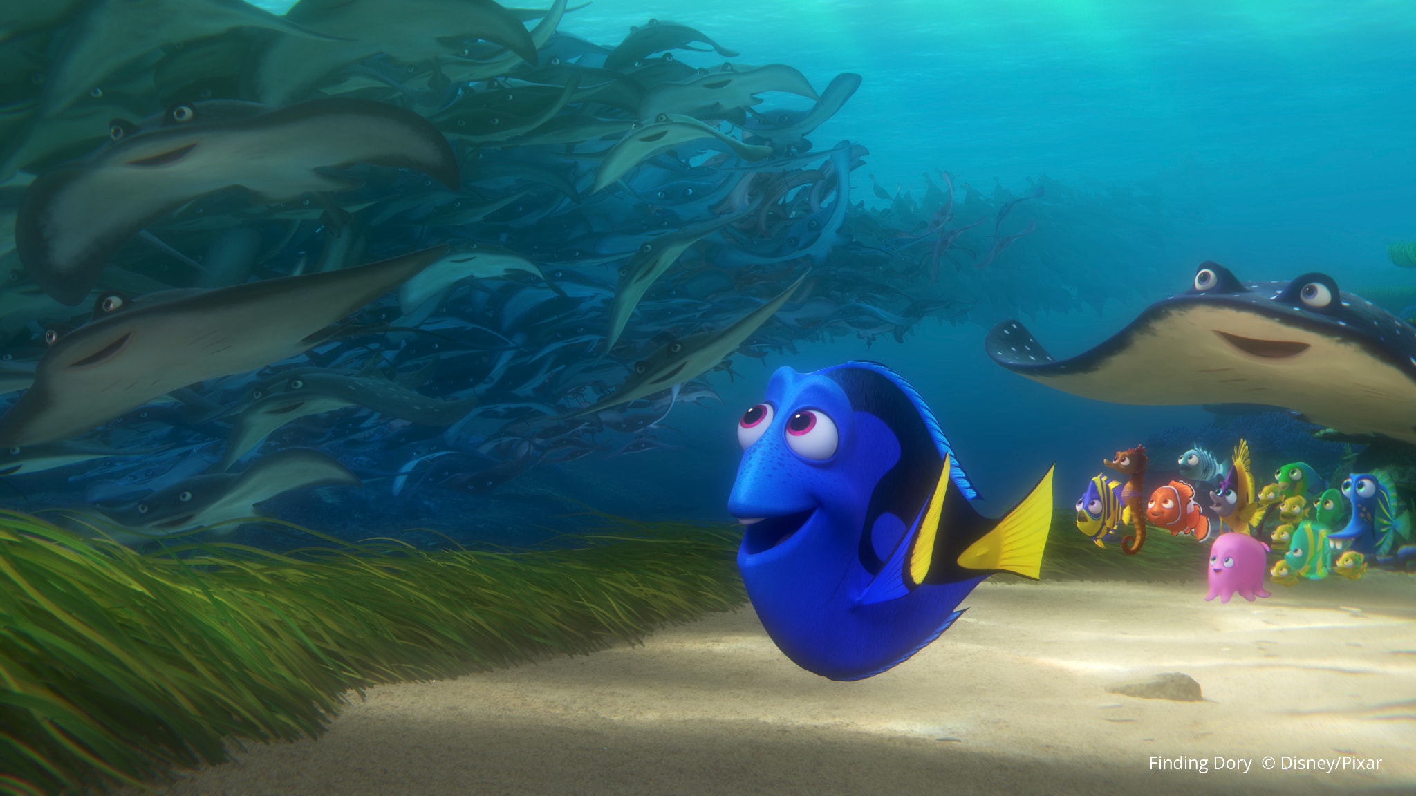 Finding Dory free instal